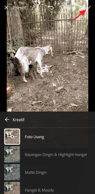Screenshot 20220721 171941 Cara Menggunakan Preset Lightroom Mobile dengan Mudah 9 Screenshot 20220721 171941