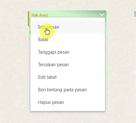 info pesan Cara Mengetahui Pembaca Pesan Grup di WhatsApp Web 2 info pesan