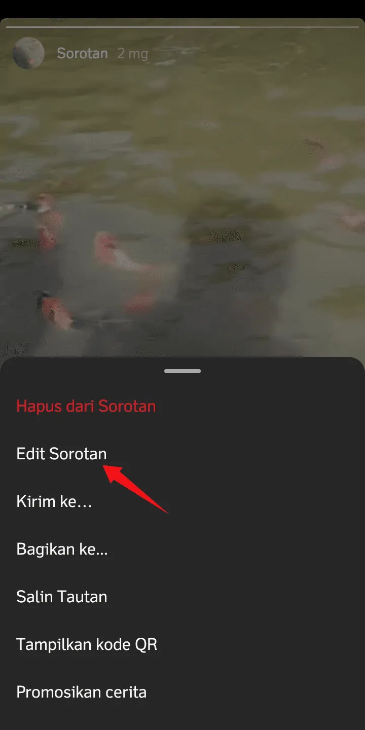 Cara Hilangkan Judul Highlight Instagram dengan Mudah 10 iMarkup 20221227 102605 Cara Hilangkan Judul Highlight Instagram dengan Mudah 8 iMarkup 20221227 102605