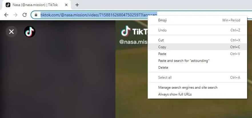 Cara Download Video TikTok, YouTube, dll Kualitas HD di PC 6 copy url Cara Download Video TikTok, YouTube, dll Kualitas HD di PC 6 copy url
