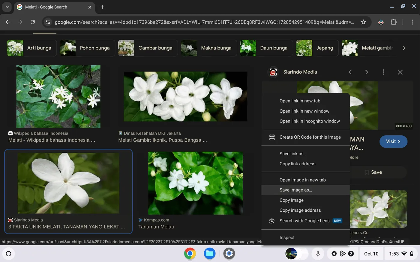 Cara Simpan Gambar dari Google ke Chromebook 3 Bagaimana Cara Termudah Menyimpan Gambar Cara Simpan Gambar dari Google ke Chromebook 3 Bagaimana Cara Termudah Menyimpan Gambar