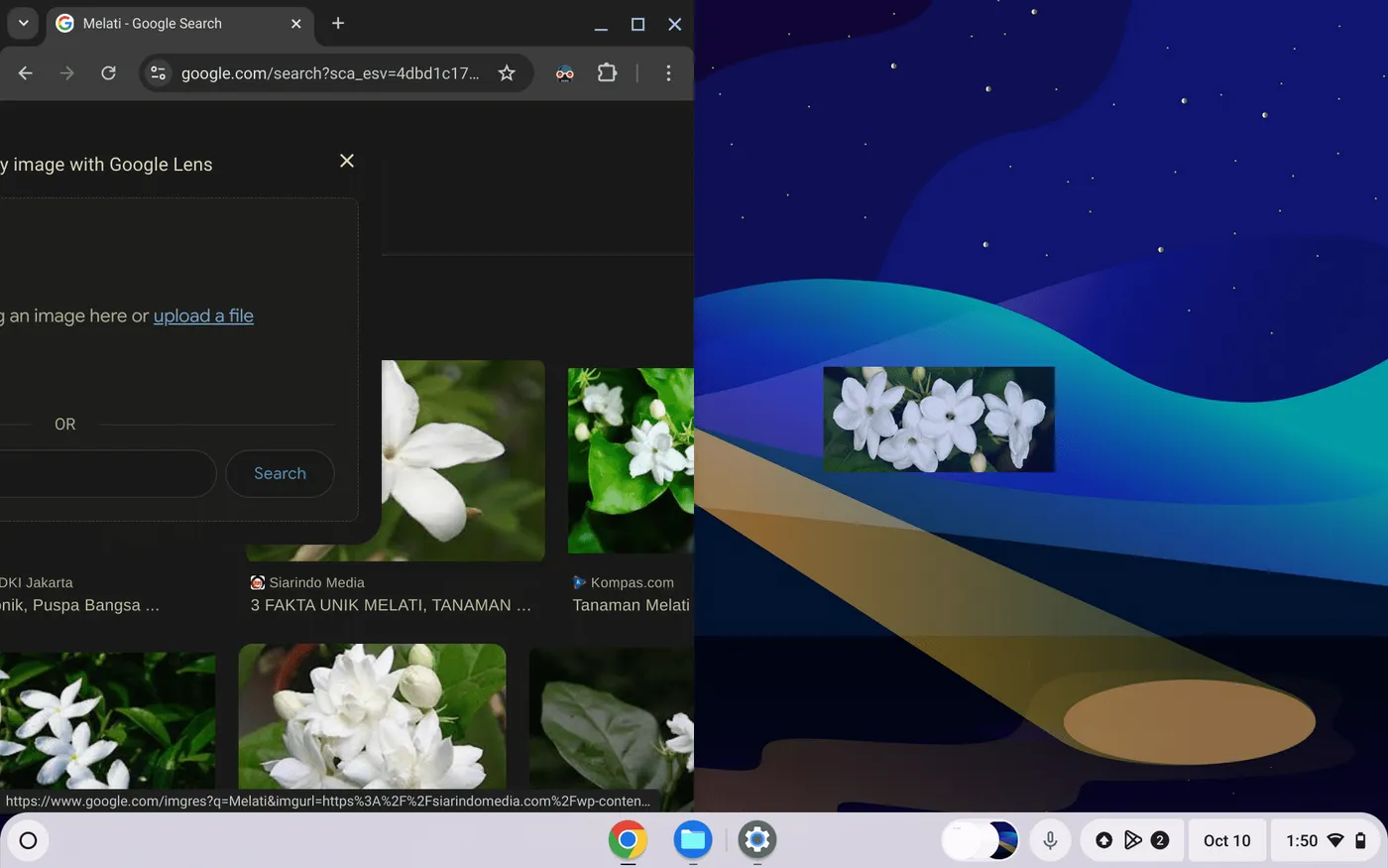 Cara Simpan Gambar dari Google ke Chromebook Cara Simpan Gambar dari Google ke Chromebook 2 Cara Simpan Gambar dari Google ke Chromebook