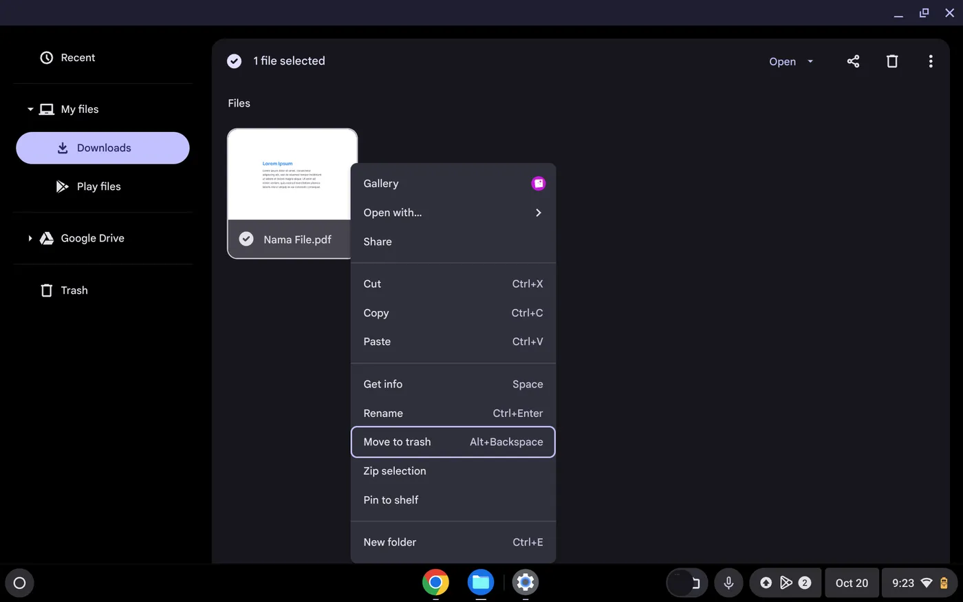 Cara Cepat Menghapus Unduhan di Chromebook 3 Screenshot 2024 10 20 9.23.46 PM Cara Cepat Menghapus Unduhan di Chromebook 3 Screenshot 2024 10 20 9.23.46 PM