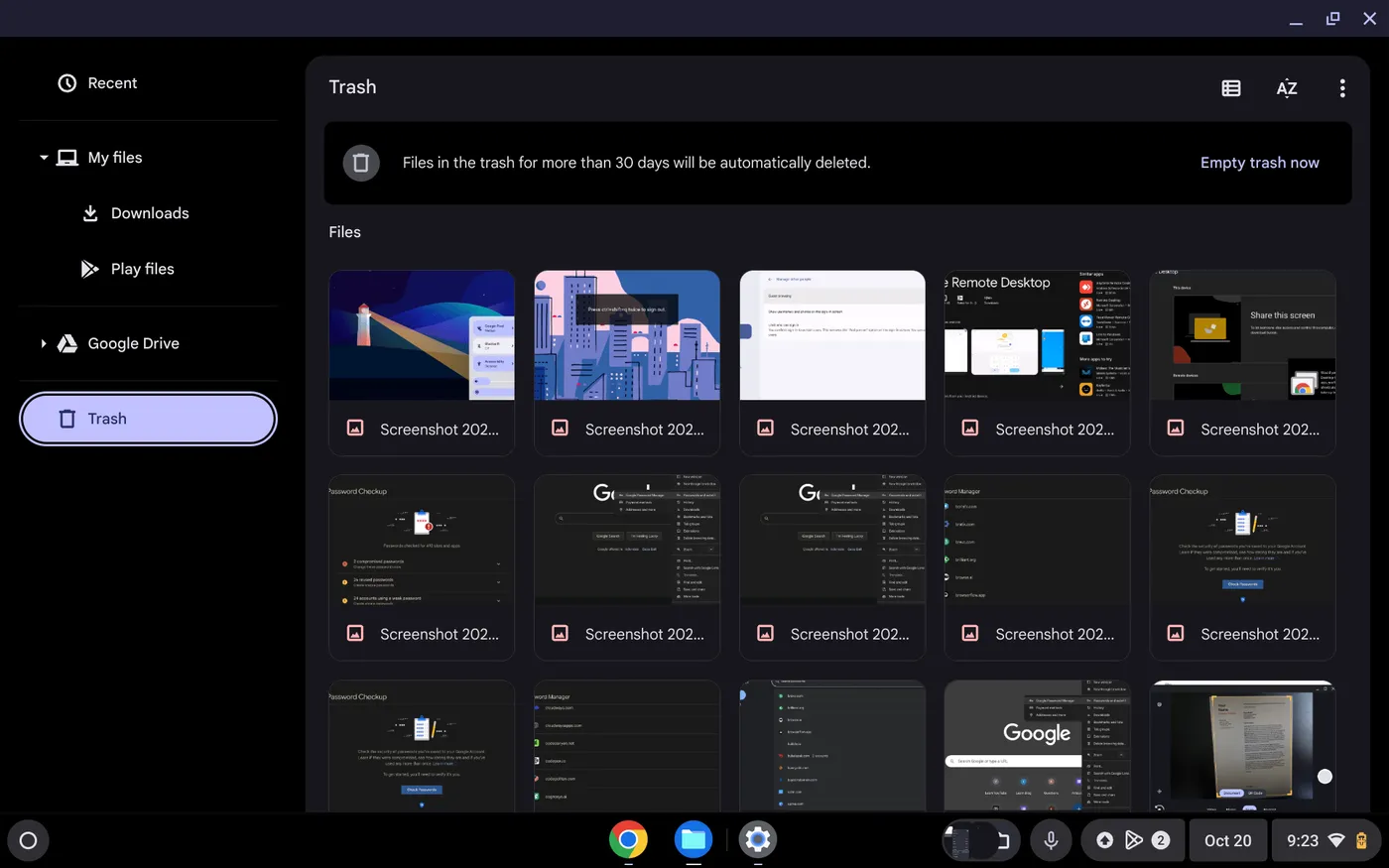 Cara Cepat Menghapus Unduhan di Chromebook 4 Screenshot 2024 10 20 9.23.51 PM Cara Cepat Menghapus Unduhan di Chromebook 4 Screenshot 2024 10 20 9.23.51 PM