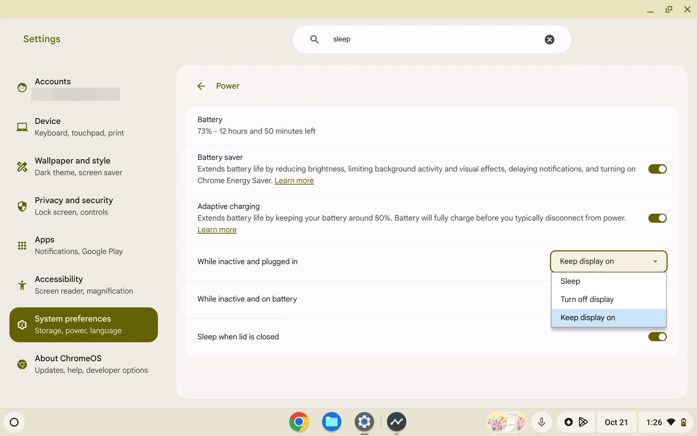 Screenshot 2024 10 21 1.26.45 PM 7 Tips Praktis untuk Menghemat Baterai di Semua Model Chromebook 4 Screenshot 2024 10 21 1.26.45 PM