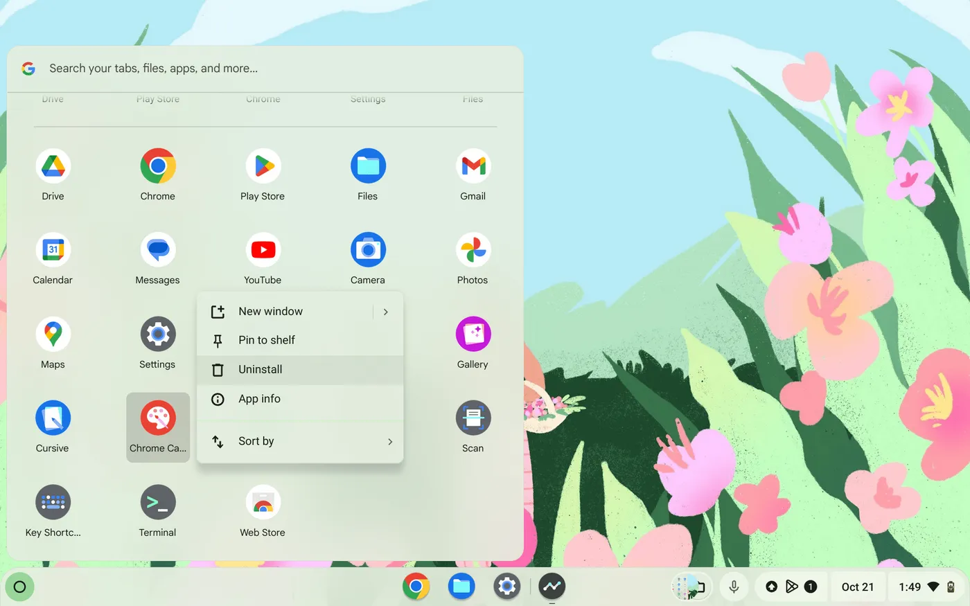 Cara Menghapus Aplikasi di Chromebook untuk Menghemat Ruang Penyimpanan 3 Screenshot 2024 10 21 1.49.25 PM Cara Menghapus Aplikasi di Chromebook untuk Menghemat Ruang Penyimpanan 3 Screenshot 2024 10 21 1.49.25 PM