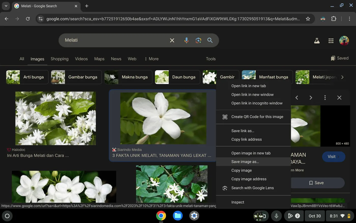Cara Mudah Menyimpan Gambar dari Web ke Chromebook 3 Screenshot 2024 10 30 8.31.28 PM Cara Mudah Menyimpan Gambar dari Web ke Chromebook 3 Screenshot 2024 10 30 8.31.28 PM