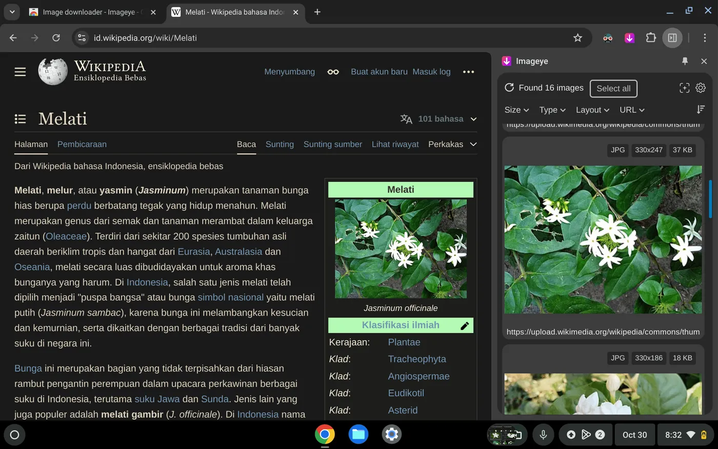 Cara Mudah Menyimpan Gambar dari Web ke Chromebook 4 Screenshot 2024 10 30 8.32.22 PM Cara Mudah Menyimpan Gambar dari Web ke Chromebook 4 Screenshot 2024 10 30 8.32.22 PM