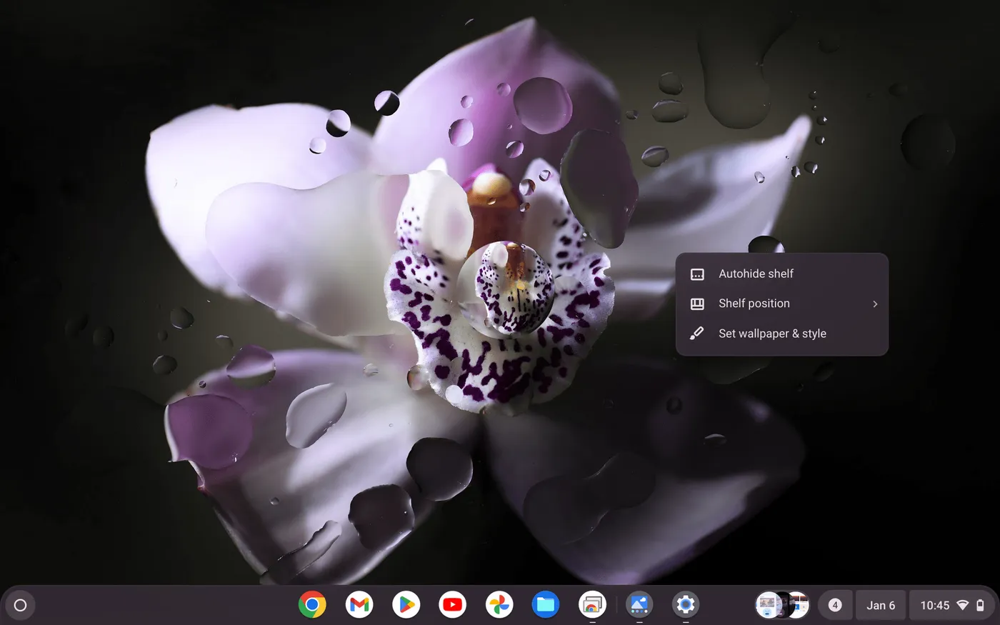 Cara Menonaktifkan Mode Gelap di Chromebook 3 Screenshot 2025 01 06 10.45.03 PM Cara Menonaktifkan Mode Gelap di Chromebook 3 Screenshot 2025 01 06 10.45.03 PM