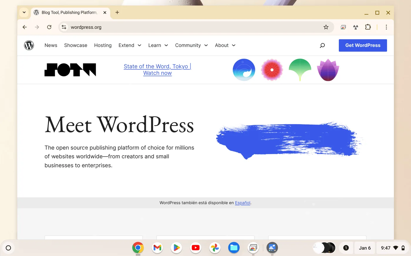 Screenshot 2025 01 06 9.47.49 PM Cara Membuat Website WordPress di Chromebook 2 Screenshot 2025 01 06 9.47.49 PM