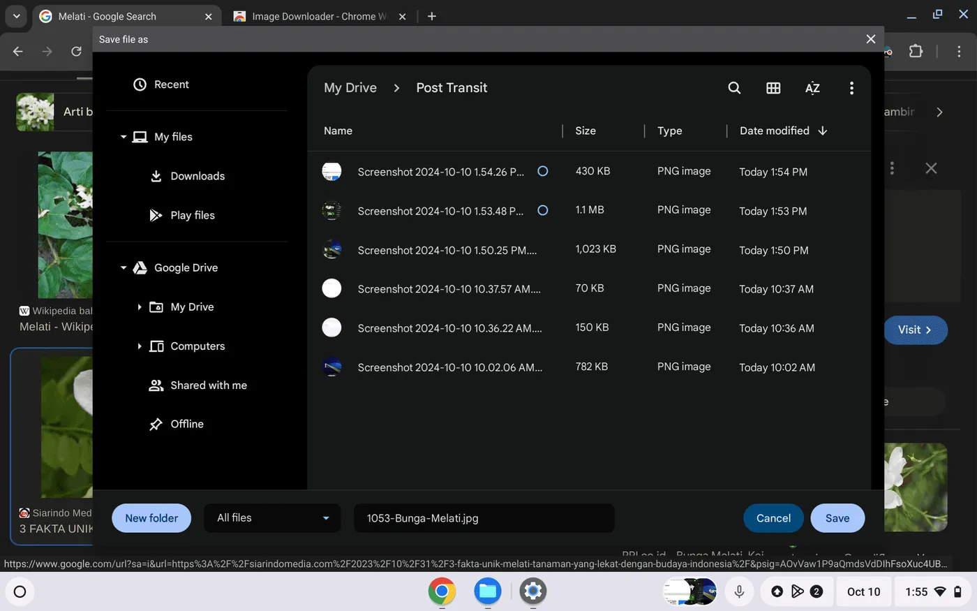 Cara Simpan Gambar dari Google ke Chromebook 5 Simpan Gambar ke Google Drive Cara Simpan Gambar dari Google ke Chromebook 5 Simpan Gambar ke Google Drive